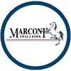 Marconi Stallions Youth